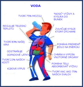 voda v tele