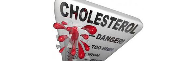 cholesterol