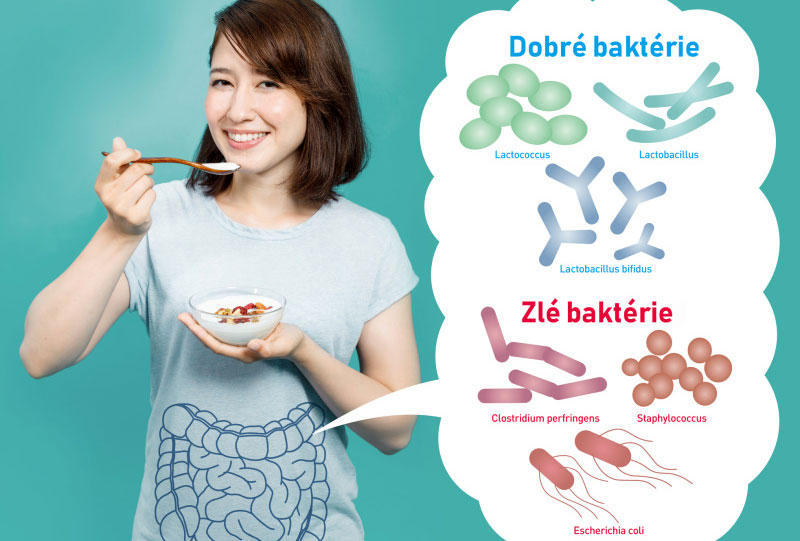 Probiotiká Probiotiká