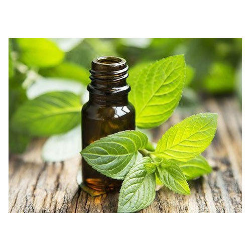 peppermint essential oil 500x500 1